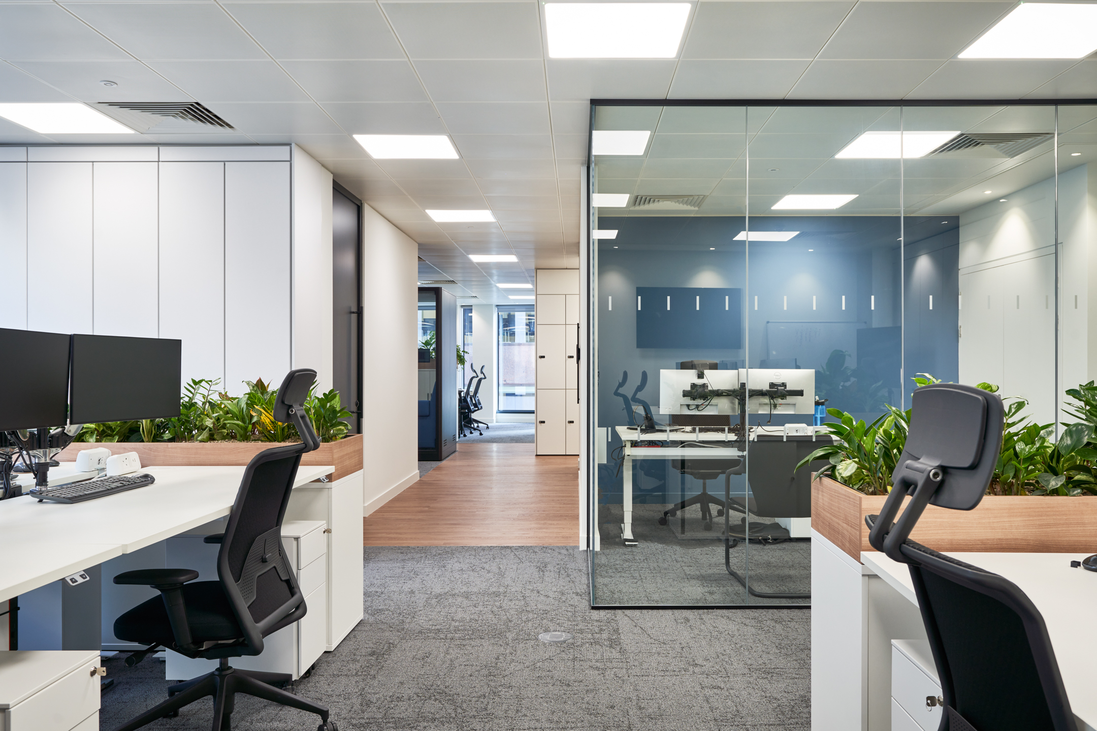 Open-plan office workspace designed by Two for KPI Ocean Connect, featuring ergonomic chairs, dual monitor setups, and desk planters for a modern and functional layout.