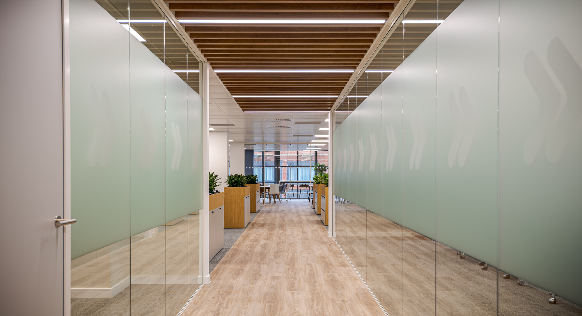 Accelya office designed by Two, showing a hallway with frosted glazing featuring subtle arrow patterns, wooden flooring, and a slatted wooden ceiling mimicking an airport runway. The hallway leads to an open area with plants, light wood furniture, and a view of brick buildings through large windows.