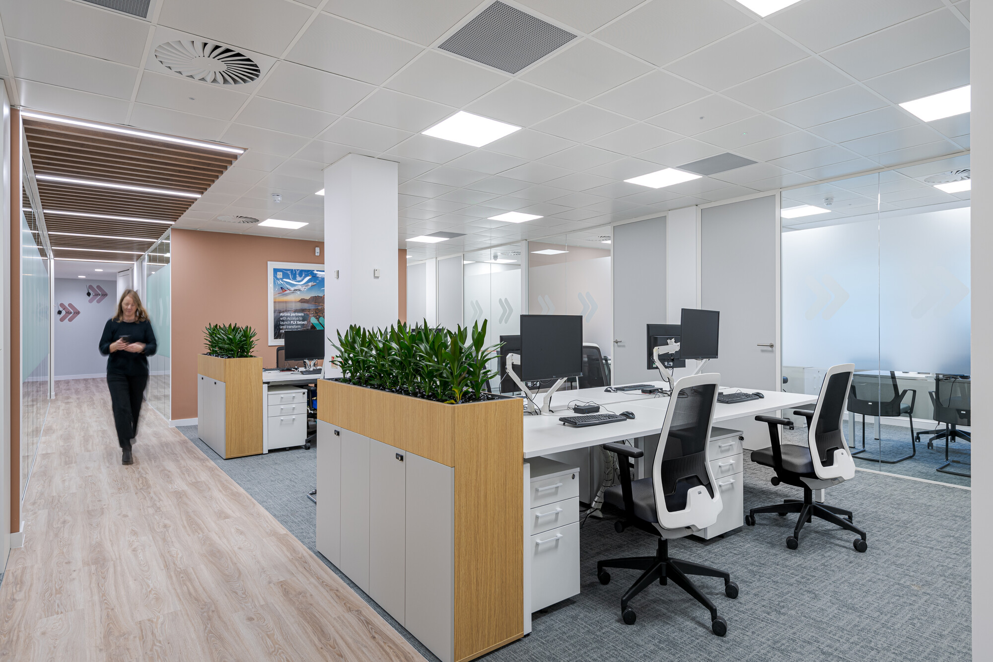 Open-plan workspace in Accelya's office by Two, with rows of white desks equipped with monitors and ergonomic chairs. Wooden planters with greenery divide the space, and frosted glazing with arrow patterns enclose nearby meeting rooms. A slatted ceiling detail runs above the corridor, where a person is walking.