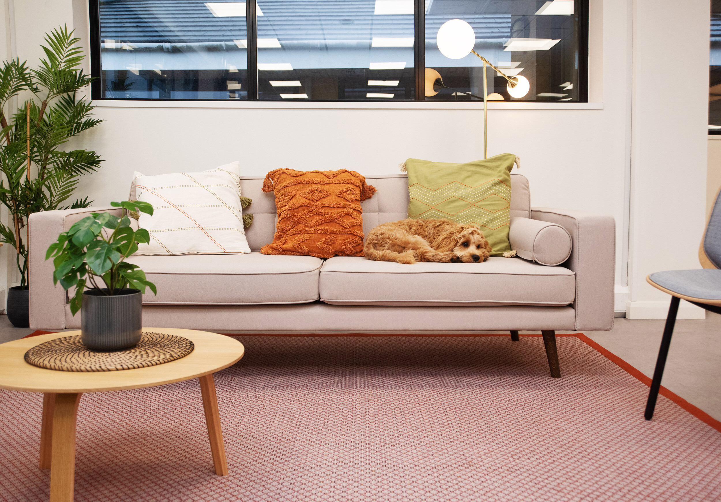 Modern sofa in the Koin office by Two, styled with vibrant cushions and surrounded by indoor plants for a comfortable and inviting environment.