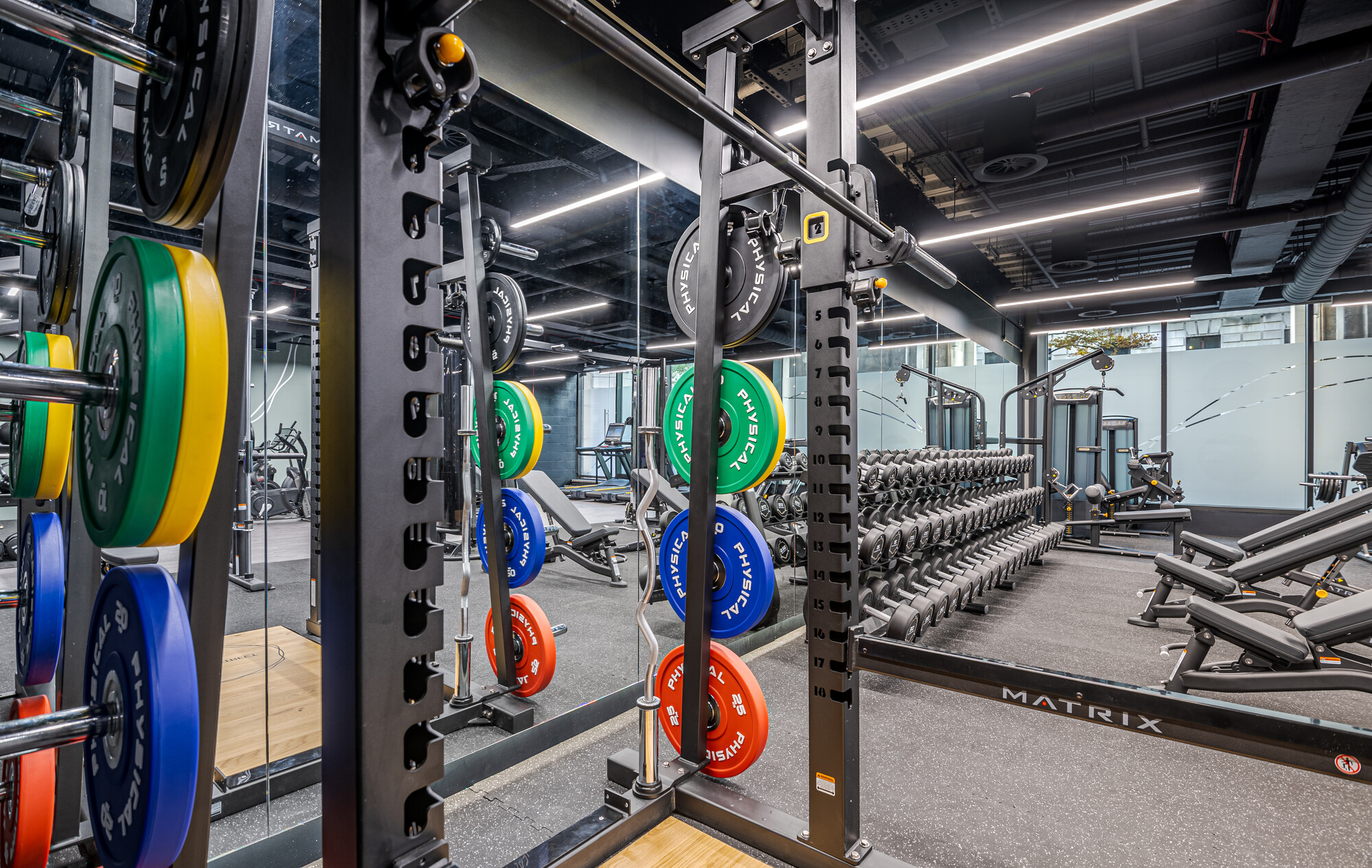 The weightlifting area at ReFIT Gym, 100 Wood Street, designed by Two, showcasing vibrant weight plates and a sleek barbell rack.