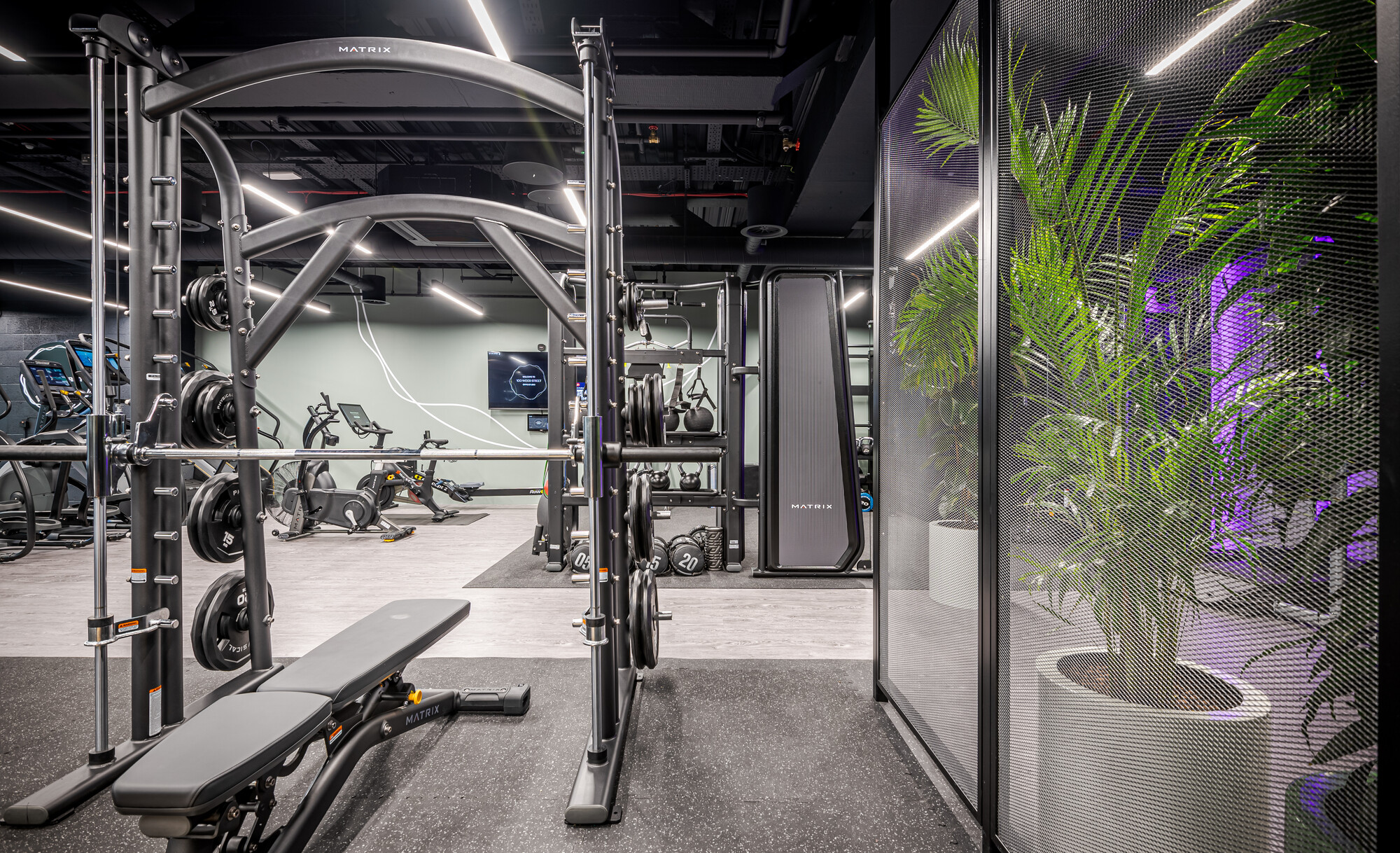 The gym at ReFIT, 100 Wood Street, designed by Two, includes a Matrix weightlifting station and integrated greenery for a balanced workout environment.