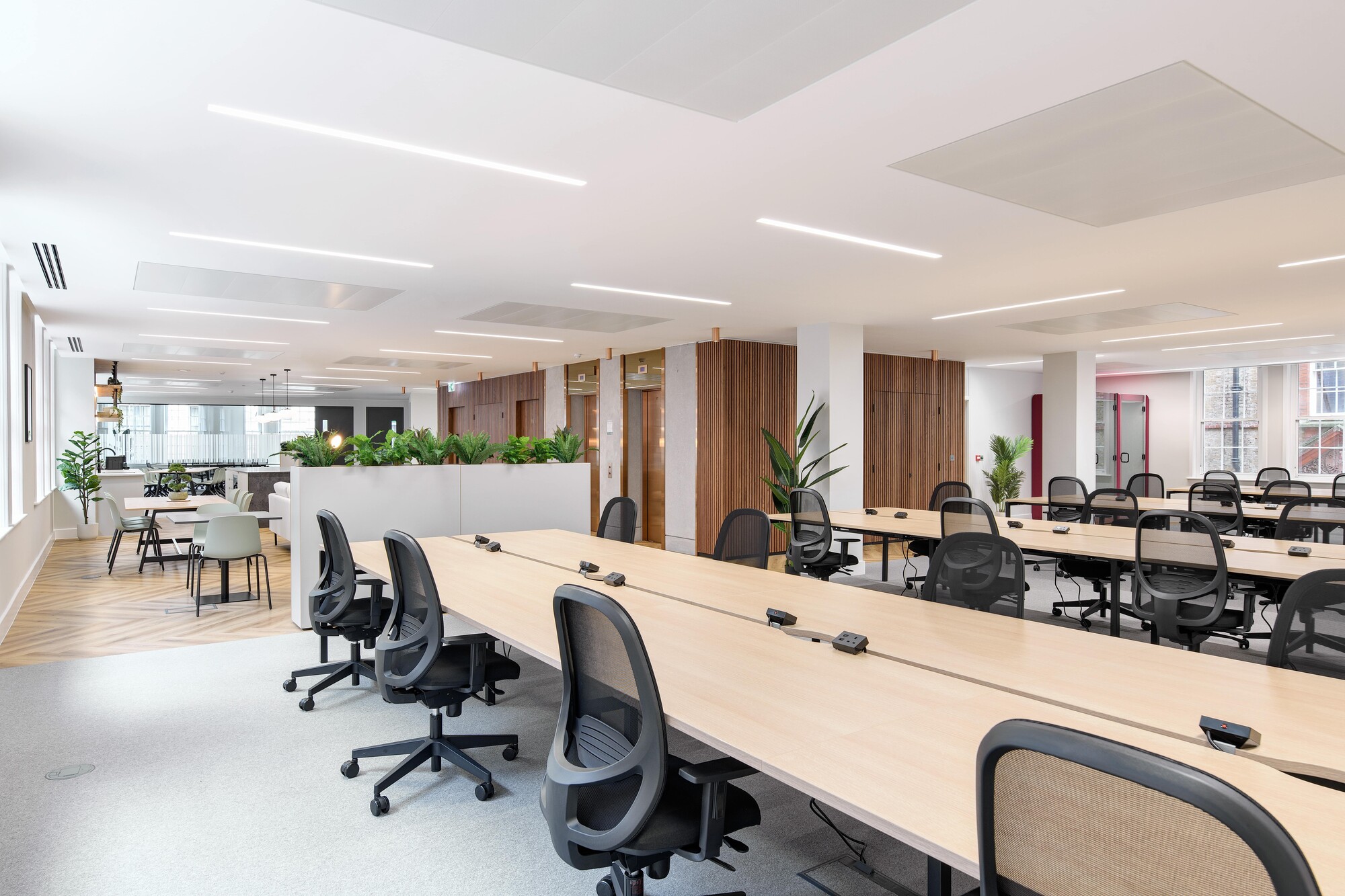 Open-plan workspace at the Tenant-Ready at 1 Old Queen Street designed by Two, featuring collaborative desk arrangements, natural wood accents, and abundant greenery.