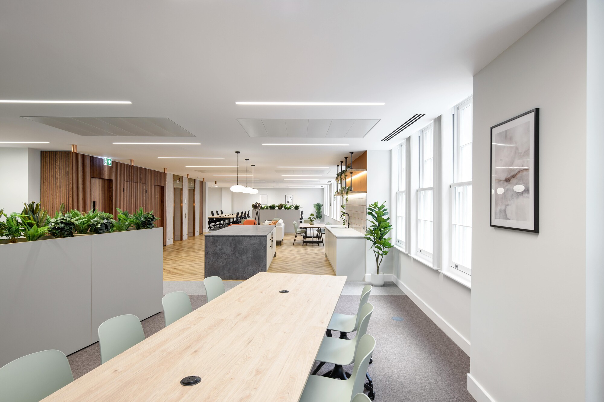 The Tenant-Ready™ open-plan workspace at 1 Old Queen Street with natural wood finishes, planter dividers, and a view of the kitchen area.